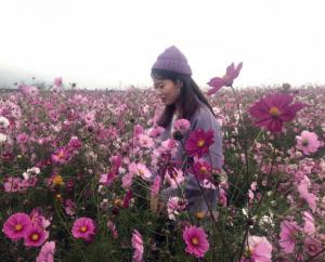 【感動(dòng)青峰人物第四期】熱誠(chéng)對(duì)工作，含笑待家人——感動(dòng)青峰人物之劉含笑